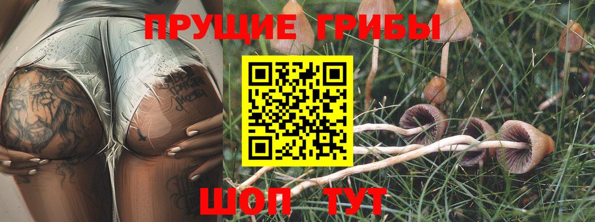 Галлюциногенные грибы GOLDEN TEACHER  Вход с VPN  Вичуга 