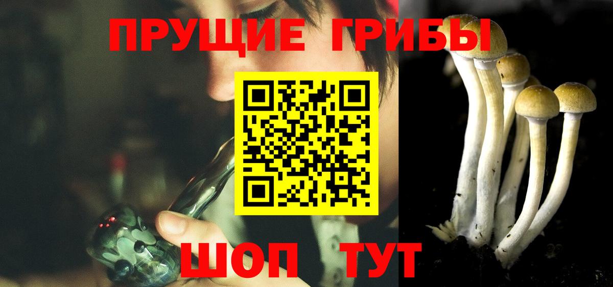 Галлюциногенные грибы Magic Shrooms Вичуга